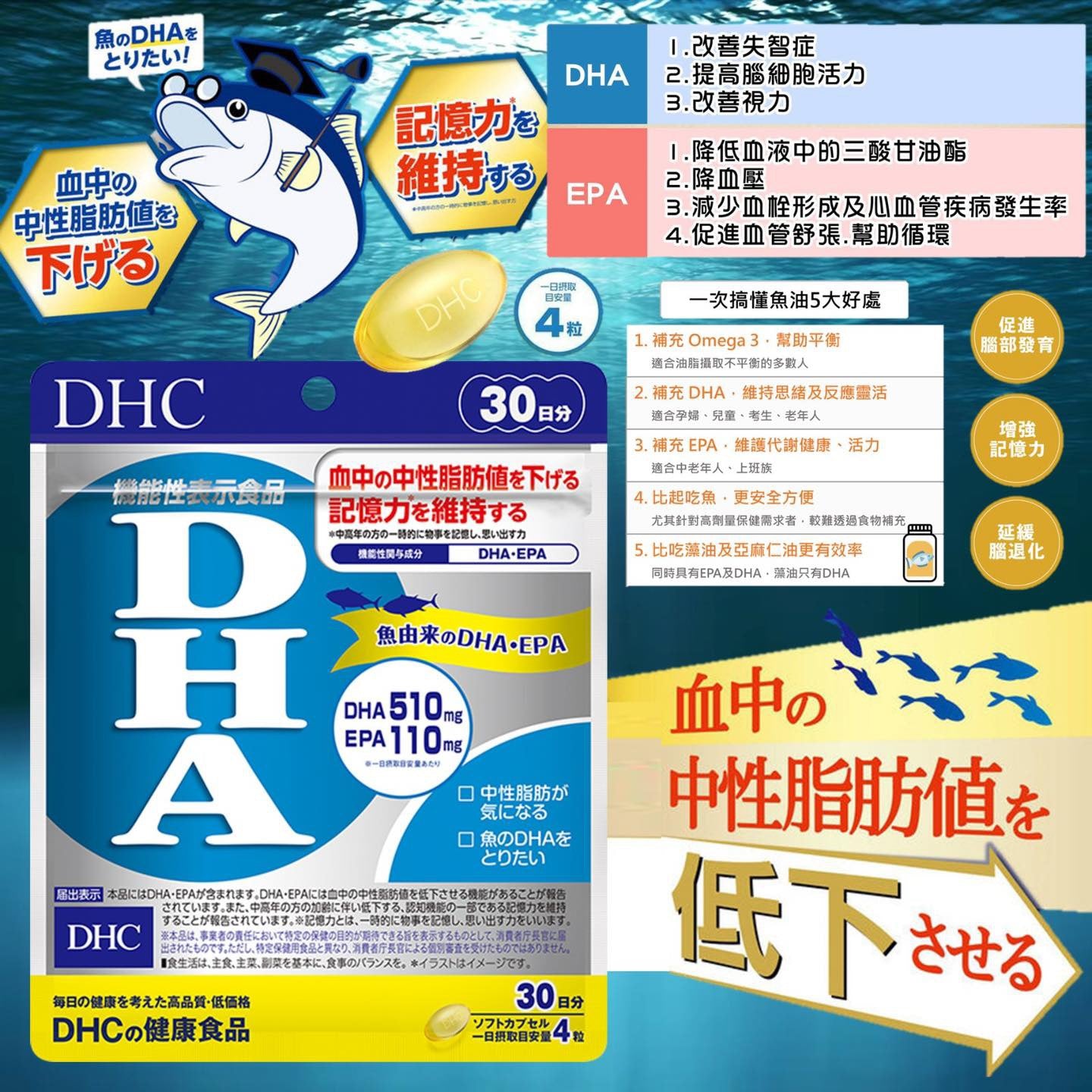 🇯🇵DHC 精製魚油🐟 (DHA) 提升腦記憶力💡120粒（30日份）